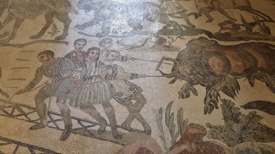 וילה דל קזאלה